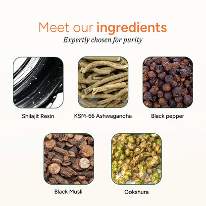 Shilajit Gummies 120s