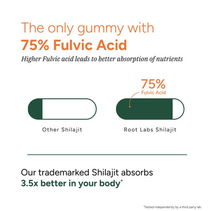 Shilajit Gummies 120s